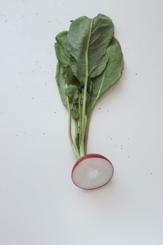 Top Picks, Pitfalls, and What You Should Know About Plant-Based Protein