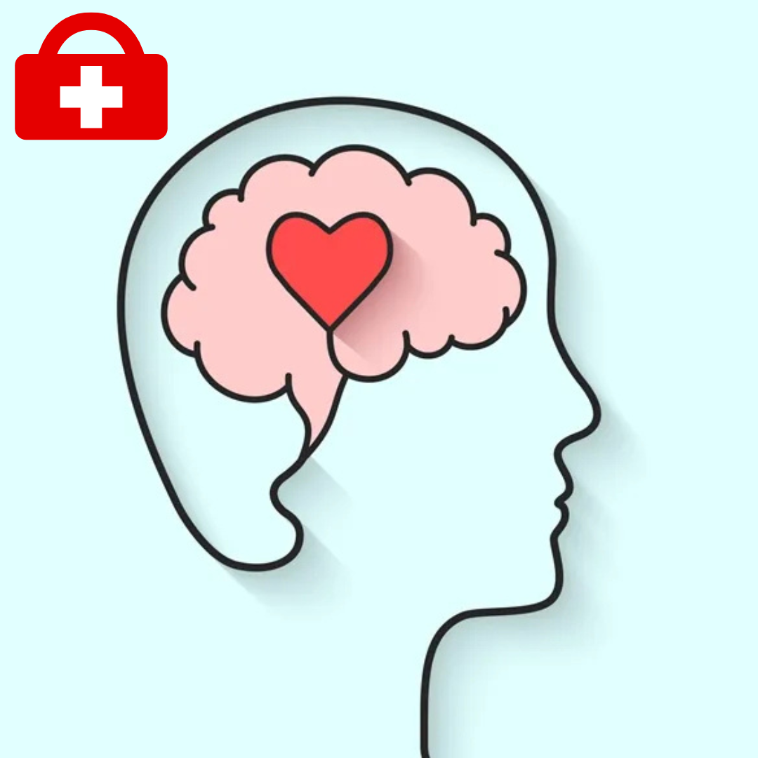 Supporting Well-Being to Mental Health First Aid