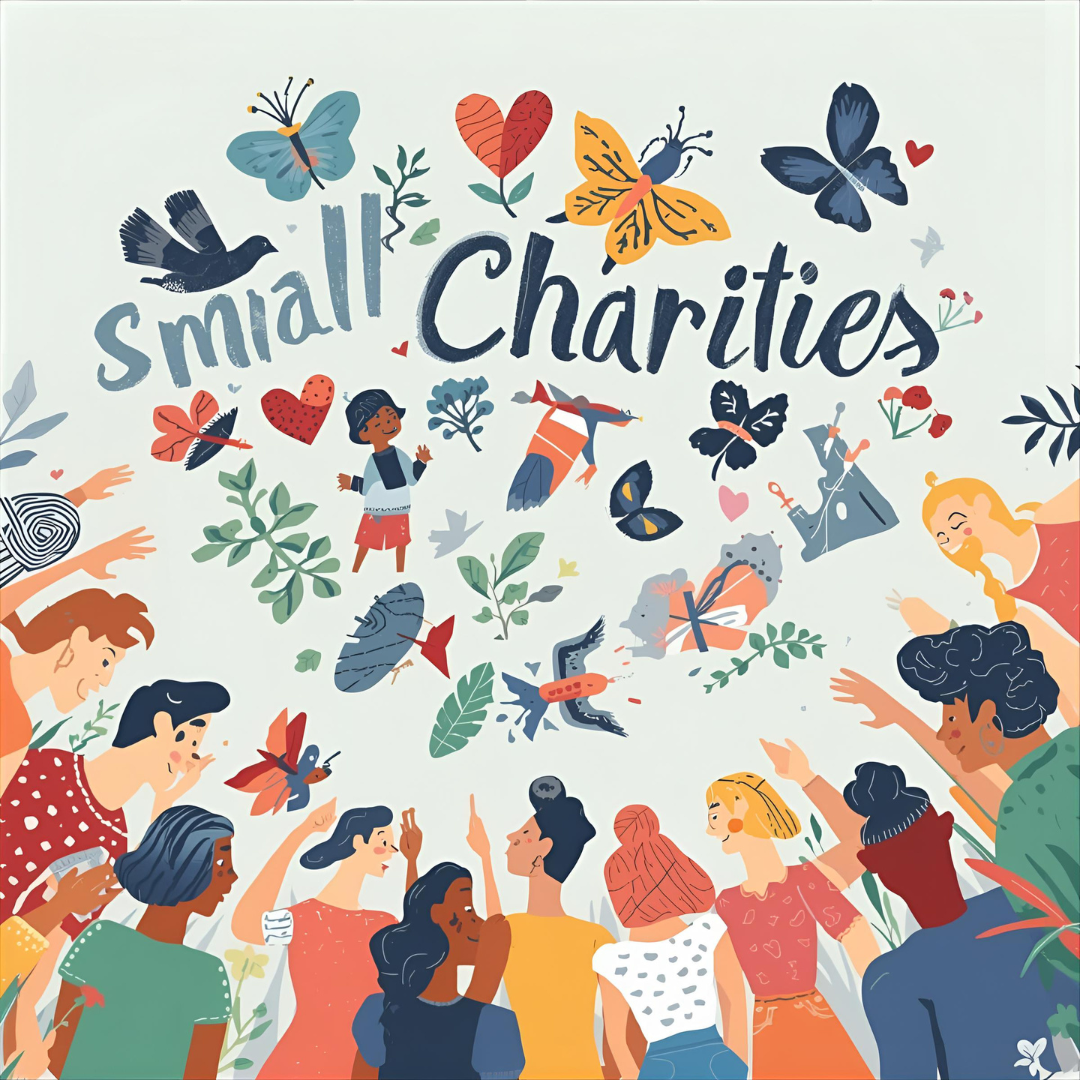 Small Charities and Their Crucial Role in Mental Health